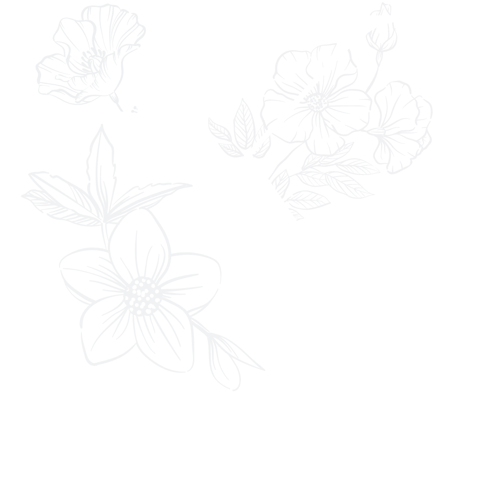 Kado Logo Inverted Colour